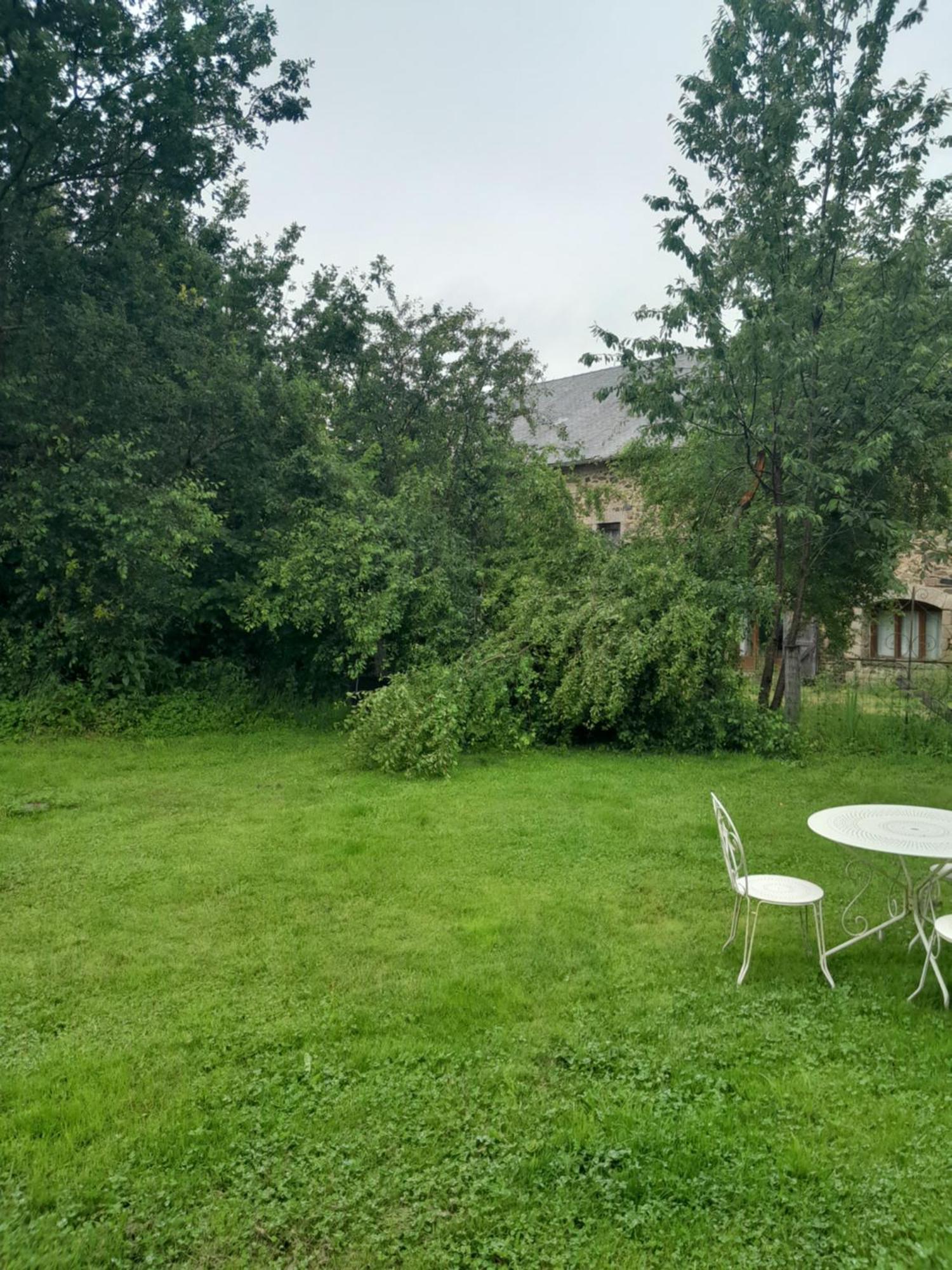La Petite Salamandre Bleue La Croisille-sur-Briance Eksteriør billede